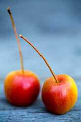 Ripe Organic Crab Apple Fruit