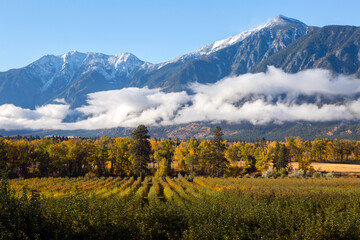 Autumn Fall Colors Similkameen Valley © laughingmangovideo
