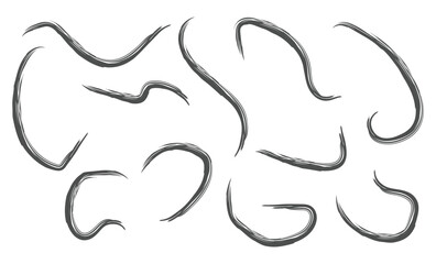 Multi colored squiggles with circles seamless pattern. Brush drawn bold curved lines, waves and swirls. Abstract geometric colorful background with organic bold lines. Childish doodles and scribbles.