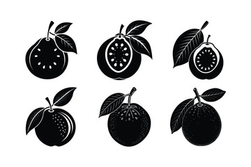 Guava (Psidium guajava) silhouette design, labeled line art, linocut vector illustration.