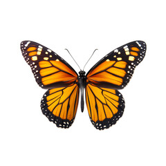 Obraz premium Majestic Monarch Butterfly with Vibrant Orange Wings Soaring Through Lush Greenery