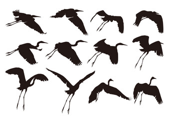 white herons set of silhouettes of birds shadow