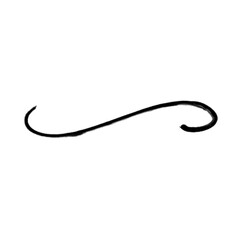 Swashes swoops and swishes calligraphy sign. Underline hand drawn stroke. Vector symbol