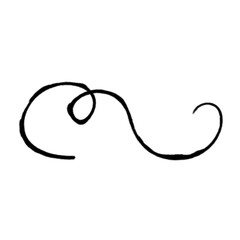 Swashes swoops and swishes calligraphy sign. Underline hand drawn stroke. Vector symbol