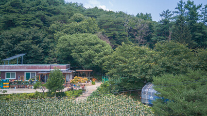 lake in the mountains
