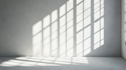 Obraz premium Versatile white and grey studio interior background with product displays and natural window shadows ideal for text insertion, product presentations, and professional photography backdrops