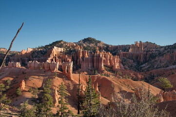 Beautiful rocks in Bryce Canyon National Park