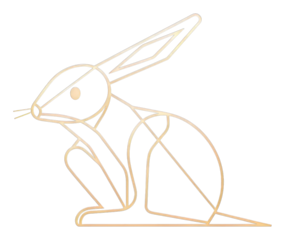 PNG Rabbit animal mammal line.