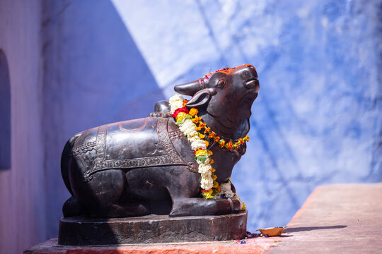 Idol of nandi bull made with marble at lord shiv temple in varanasi.
