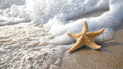 A starfish sitting on the wet sand, with waves gently touching it