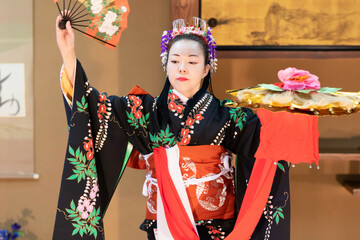 着物姿で扇子を持って日本舞踊を踊る若い日本人女性