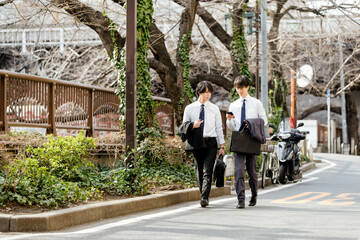 街路樹のある緑道をスマートフォンを見ながら並んで会話しながら歩く若い2人のビジネスマンの男性