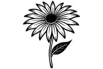 Minimalist Line Drawing of Rudbeckia Floral Silhouette Illustration