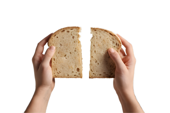 Hands holding a broken slice of bread against a transparent background