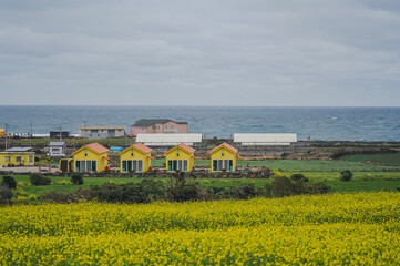 landscape with field and blue sky