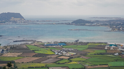 aerial view of the city