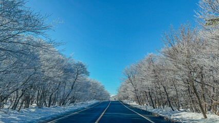 snow covered road
