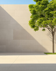 Modern courtyard with a single tree and minimalist design under bright sunlight