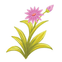 beautiful watercolor floral design in pink with green leaves