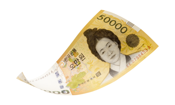 50000 South Korean won banknotes falling  isolated on white background, with clipping path