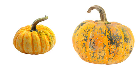 Halloween pumpkin isolated on a white background. Generative AI.