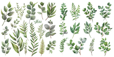 Herbal eucalyptus selection vector frame. Hand painted branches. Generative AI.