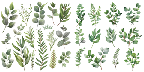 Herbal eucalyptus selection vector frame. Hand painted branches. Generative AI.