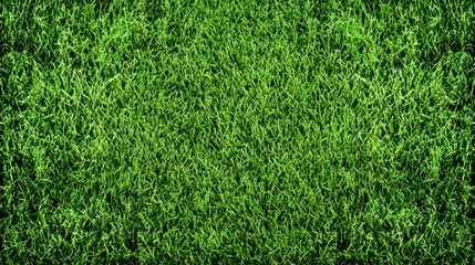 Fototapeta premium Vibrant Green Grass Texture Background in Full Frame View