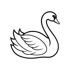 swan vector  illustration