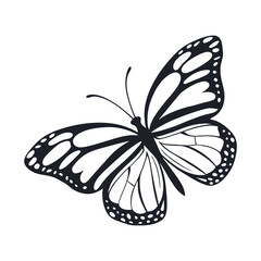 Vector silhouette illustration of butterfly on white background.