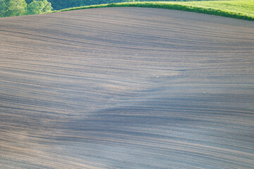 5月の北海道　美瑛の風景
