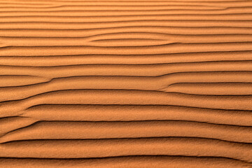 Desert Background. Sand dune texture. Oman, Wahiba Desert