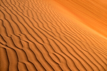Sand dune texture. Desert Background. Oman, Wahiba Desert