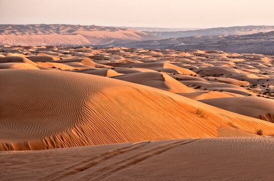 Oman. Wahiba Desert. Golden sand dunes. Summer travel and tourism
