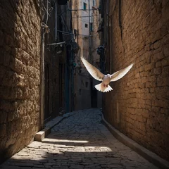 Photo sur Plexiglas A dove flying through a narrow alley, finding a path in the chaos.