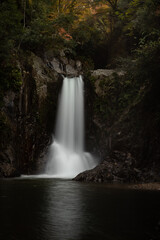 Obraz premium 紅葉する森と美しい滝 愛知県