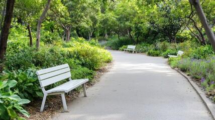 Fototapeta premium A serene park pathway lined with lush greenery and white benches, inviting relaxation in a natural setting.