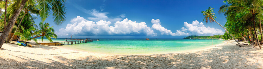 Nature landscape tropical beach with palm tree and ocean