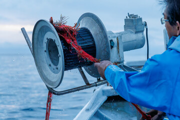 本命の伊勢海老（イセエビ科）が穫れた。
英名学名：Japanese Spiny Lobster,...