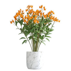 Orange flowers in marble pot, white isolate background