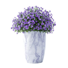 Purple flowers in marble pot, white isolate background