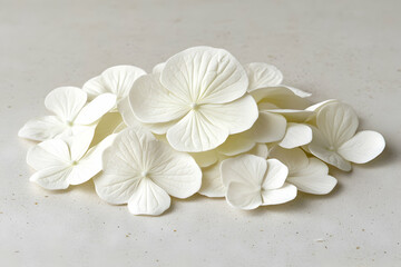 Delicate pile of white hydrangea petals on a light background.