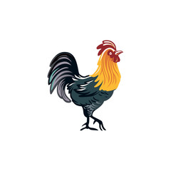vector logo tamplate rooster 