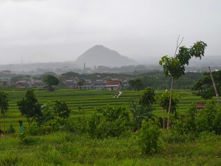 A beautiful lush green field surrounded by a majestic mountain in the background