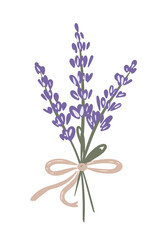 Obraz premium Hand drawn bouquet of lavender flowers tied with a brown ribbon, isolated on white background