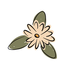 Hand drawn flower with green leaves in a simple artistic style suitable for various designs