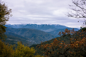 Fototapeta premium Autumn landscape of the Borjomi Reserve. Yellow shrubs and tree branches frame a scenic view of majestic mountains under a cloudy sky, creating a serene and atmospheric composition
