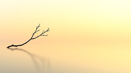 Obraz premium Delicate branch rests quietly on soft gold gradient closeup photo. AI Generated