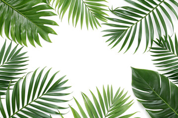 Tropical green palm leaves border, cut out, on isolated white background, Clipping path
