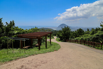 산 정상을 올라가는 숲 길 제주 서귀포시 안덕면 창천리 군산오름
